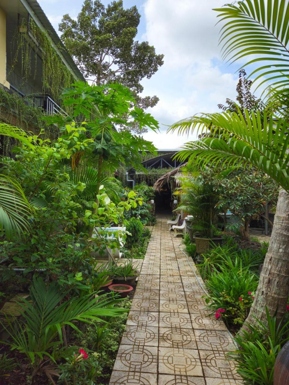 Homestay Bao Binh Bến Tre Ngoại thất bức ảnh