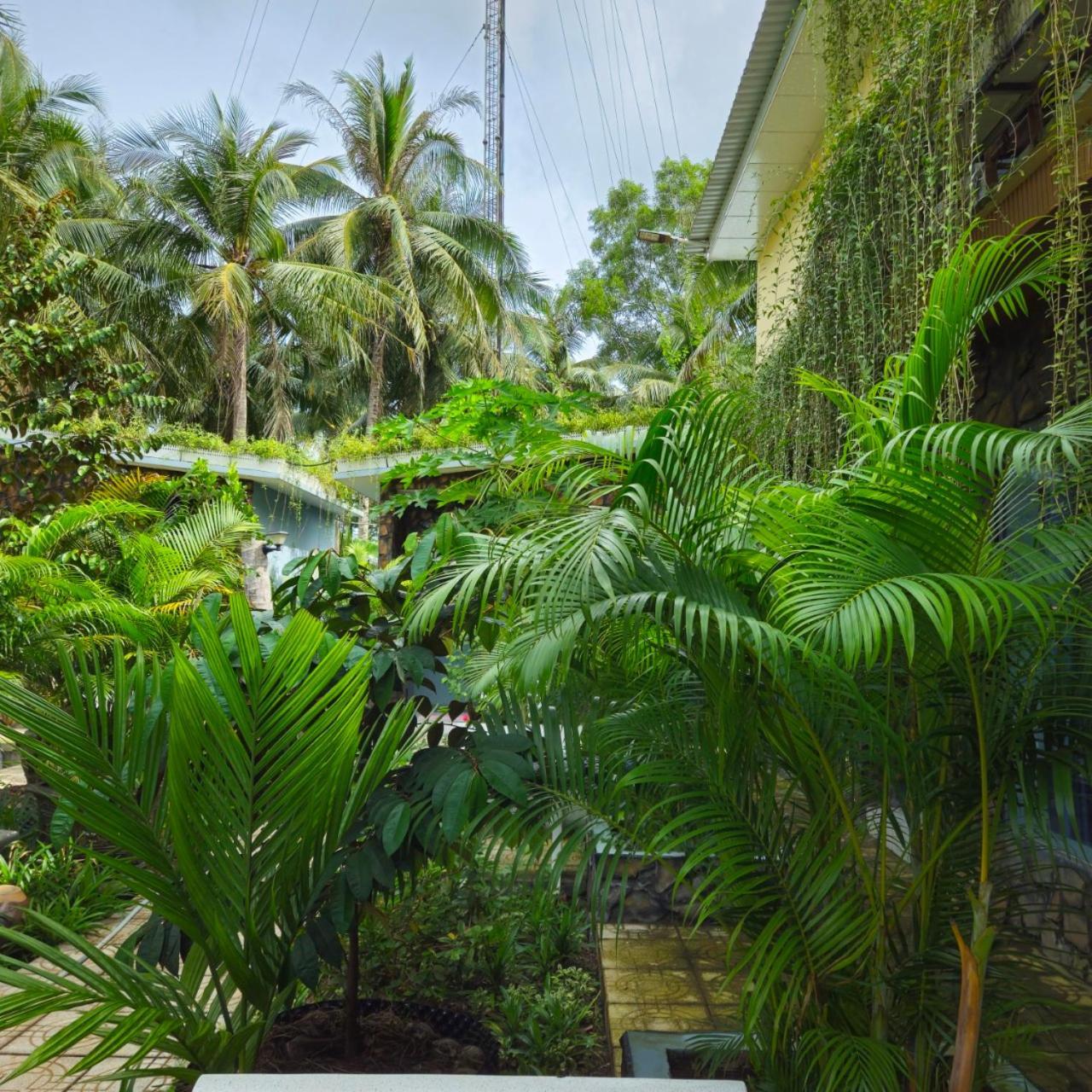 Homestay Bao Binh Bến Tre Ngoại thất bức ảnh