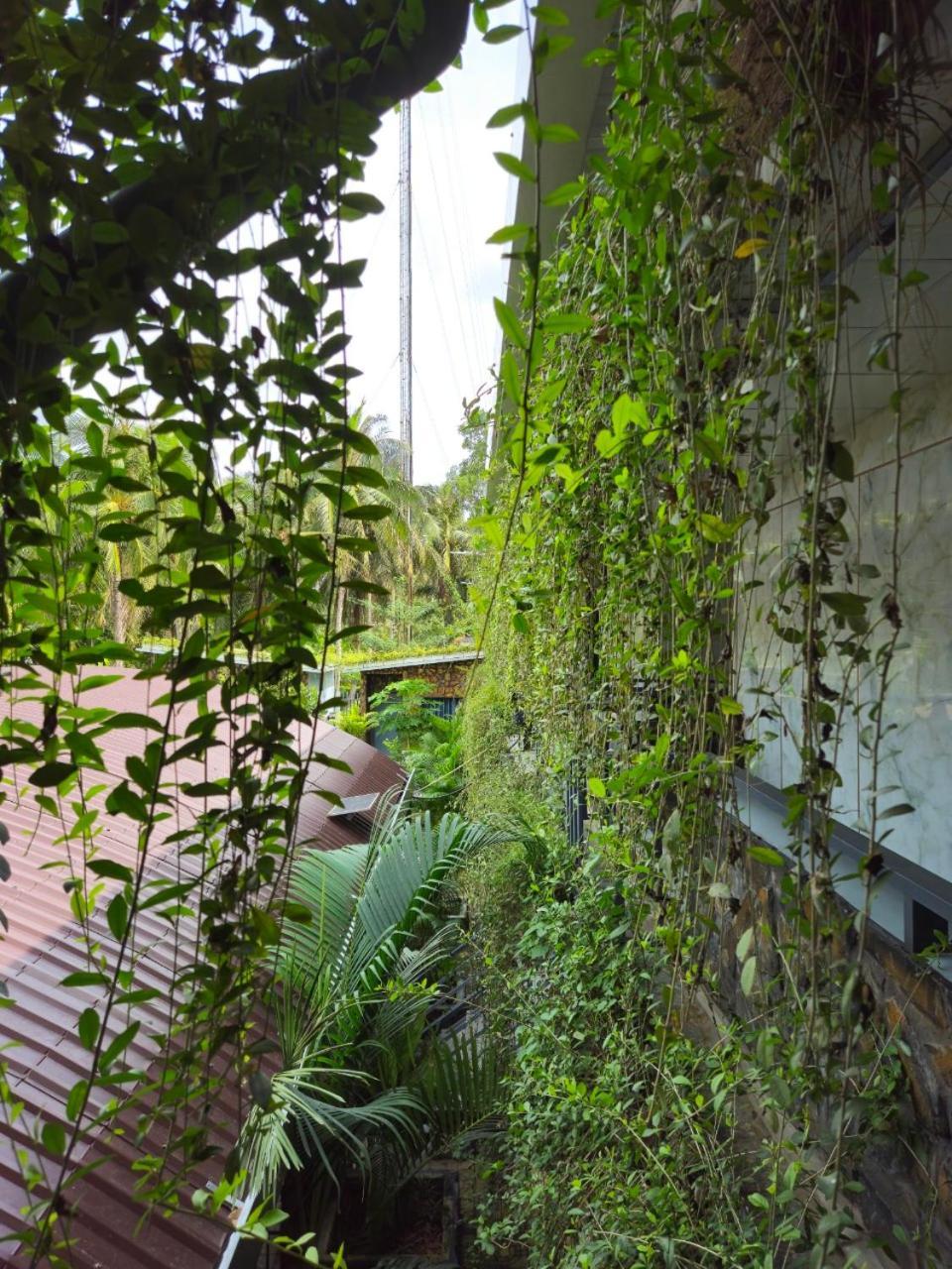 Homestay Bao Binh Bến Tre Ngoại thất bức ảnh