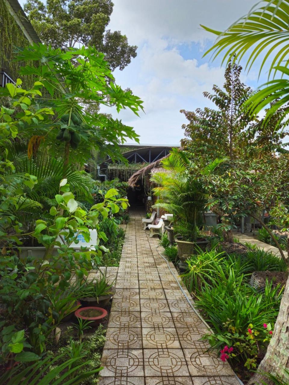 Homestay Bao Binh Bến Tre Ngoại thất bức ảnh